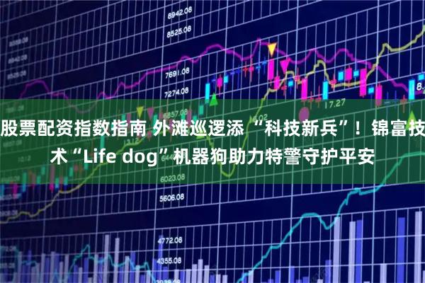 股票配资指数指南 外滩巡逻添 “科技新兵”！锦富技术“Life dog”机器狗助力特警守护平安